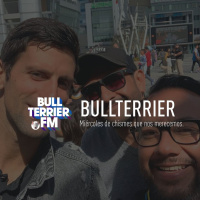 BullterrierFM - Los chismes que nos merecemos
