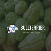 BullterrierFM - Búlgaros y chayotes en nuestras vidas