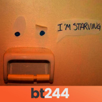 BullterrierFM 244 - Roomies