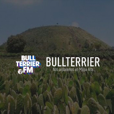 Bullterrierfm