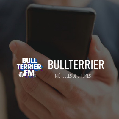 Bullterrierfm