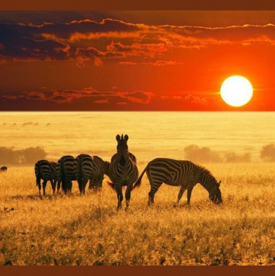 Dj Bestixxx (made In Riga)