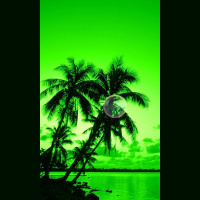 ♦ DJ INGA ◄ PLAY ► nu/indie/deep