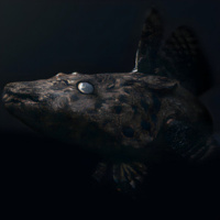 LD_Poligraphic 01B[UNMASTERED]