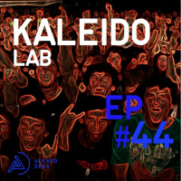 Kaleido Lab 044