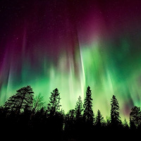 “A Questionable Podcourse of Action”