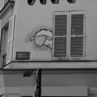 Aula Yoga /Meditação chegando ao Ocidente