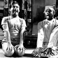 A Direita, a Esquerda e o Espontâneo no Yoga