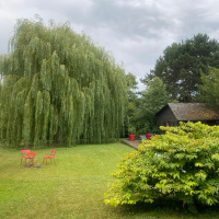 H.O.M.E. (Hills Open My Eyes) - BINAURAL