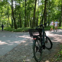 P.A.R.K. (Picking Another Rural Kitchen) - BINAURAL