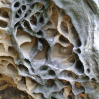 Landscapes in Green and White (2016)- free improvisation