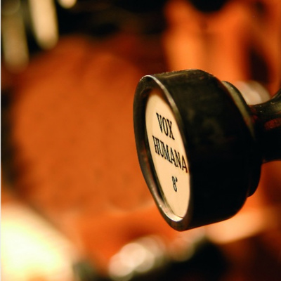 New Music By Karlheinz Essl