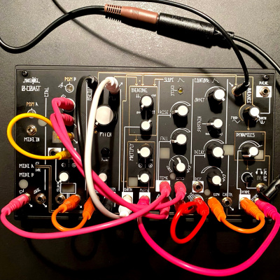 New Music By Karlheinz Essl