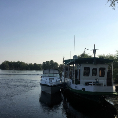 New Music By Karlheinz Essl