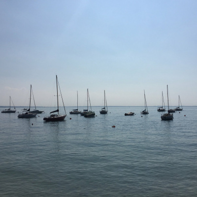 New Music By Karlheinz Essl