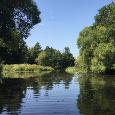 New Music By Karlheinz Essl