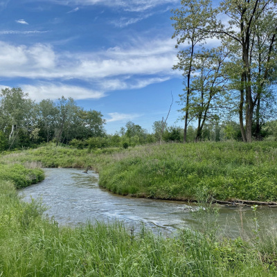 New Music By Karlheinz Essl