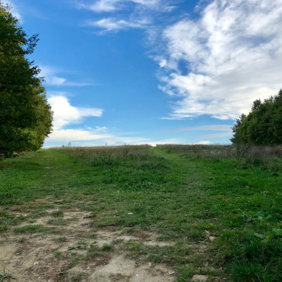 New Music By Karlheinz Essl