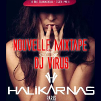 MY SUMMER HALIKARNAS