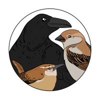 Bleeps  Bloops - Pop/EDM (Sept 21)