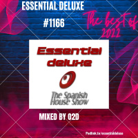 Essential deLuxe 1166 (The Best of 2022)