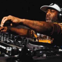 Essential deLuxe 1095