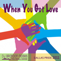 DJ Brandon Moses Presents TDC Vol 17 - When You Got Love