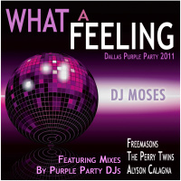 DJ Brandon Moses Presents TDC Vol 14B - What A Feeling