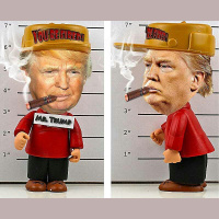 Cancion Oficial Donald Trump (Scarred.es) Latinos Unidos