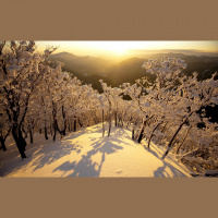 Dj Jan Steen-Winter day