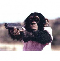 Dj Jan Steen-With no variants