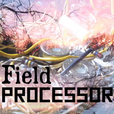 Field Processor