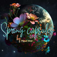 SpringComp2024byMiguelGiner