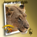 Jasper Se Griffelgids