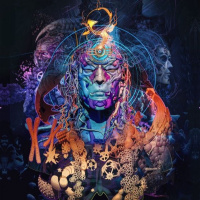 A WRONG INJECTION ..... 18/08/2019