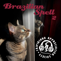 CAS 544 | Brazilian Spell (part 2) [NEW!]