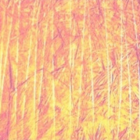 Svetlana Seka - Photinia [House Music podcasts]