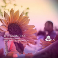 The Scumfrog - Robot Heart - 10 Year Anniversary - Burning Man 2017