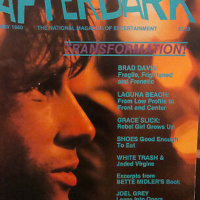 DISCO NOT DISCO Peace Bisquit After Dark Mixtape Edition [Summer 2019] vol 2