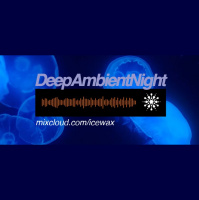 Deep Ambient Night