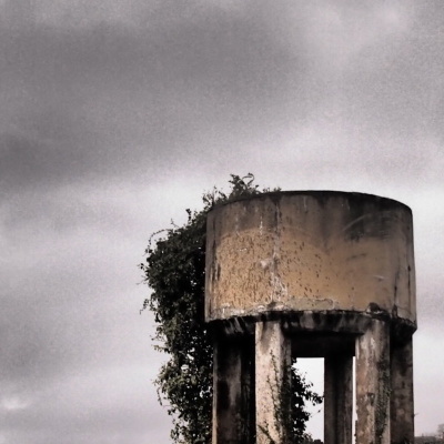 David Rodrigues Podcast