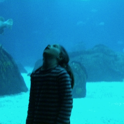 David Rodrigues Podcast