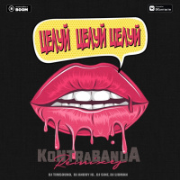 KONTRABANDA - Целуй целуй целуй (TIMSOUND Remix)