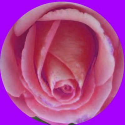 Patrick Adams Podcast