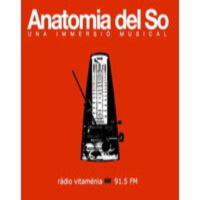 Anatomia Del So