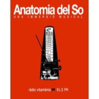 Anatomia Del So
