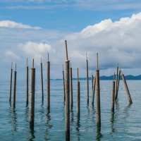 Rumors from the sea (Sound Installation)