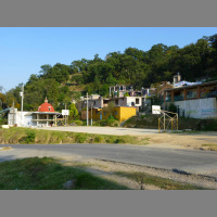 Rooster, donkey, dogs and birds at the morning in the small village of La Preciosita (Mexico)