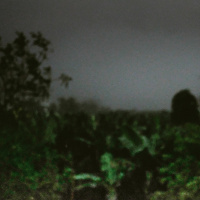 Thunder  Rain in Veracruz during the night