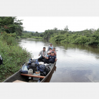 Monkeys are screaming in the trees at the edge of the river. (Venezuela)